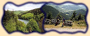 Impressionen aus dem Thüringer Wald