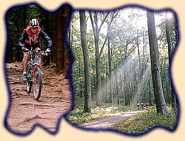 Impressionen aus dem Thüringer Wald