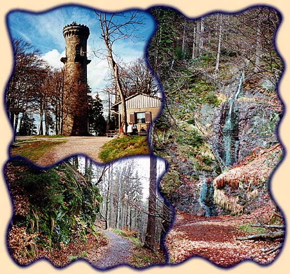 Aussichtsturm auf dem Kickelhahn und Bilder vom Naturschutzgebiet "Marktal und Morast"