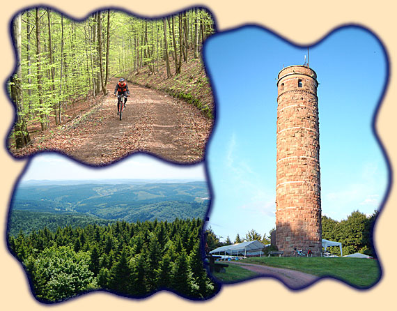 Adlersberg mit Adlersturm (Aussichtsturm mit weitem Blick)