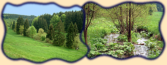 Ro&szlig;bachtal; Hirtenbrunnen