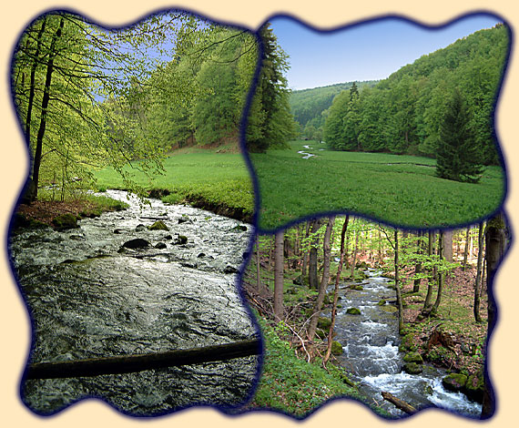 Unteres Vessertal (Vesser bis Breitenbach)