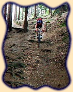 Einstieg in die Gie&szlig;&uuml;bler Schweiz