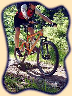 Single-Trail Downhill am Rennsteig