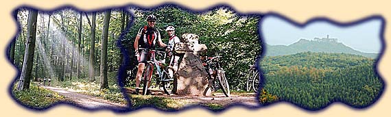 Waldst&uuml;ck bei Blankenstein, Steinkreuz "Wilde Sau", Blick zur Wartburg