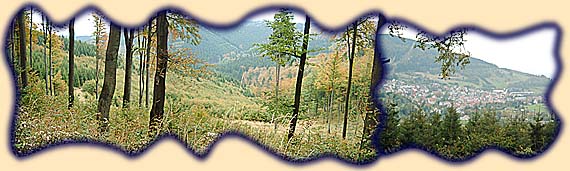 Waldst&uuml;ck nahe der Hohen Sonne, Blick auf Brotterode