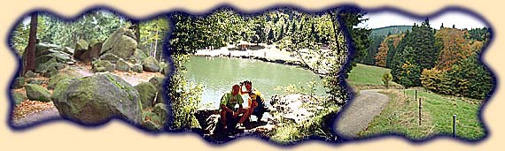 Gl&ouml;ckner, Badesee an der Ebertswiese, Waldst&uuml;ck am Rennsteig-Radwanderweg