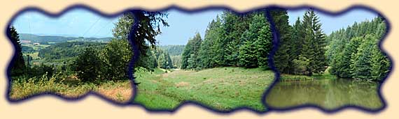 Bilder vom Teilst&uuml;ck Schleusingen bis Erlau