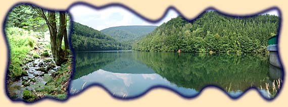 Erletor Talsperre und Zufluss (Finstere Erle)