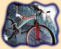 Mein Bike - f&uuml;r n&auml;here Infos hier klicken!
